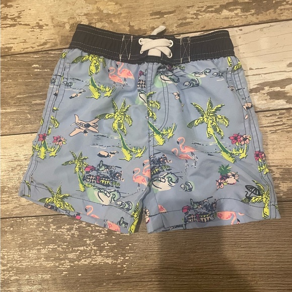 Boys Swim Trunks size 2T - Picture 3 of 11